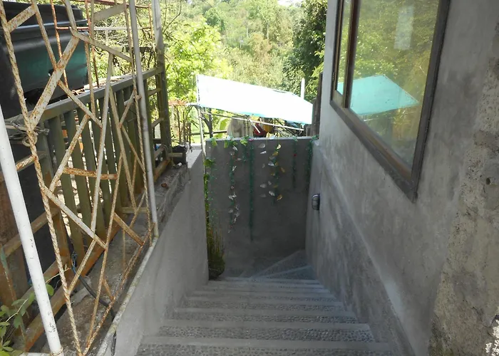 Terrace *