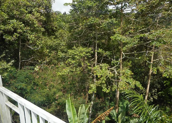 Terrace * Besakih