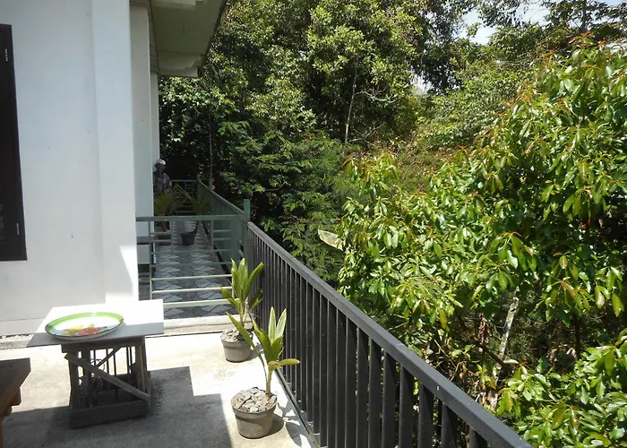 Terrace *